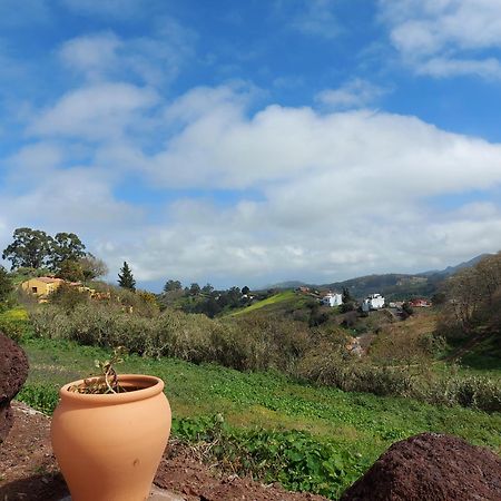 Finca Naturacanaria Moya  Eksteriør bilde