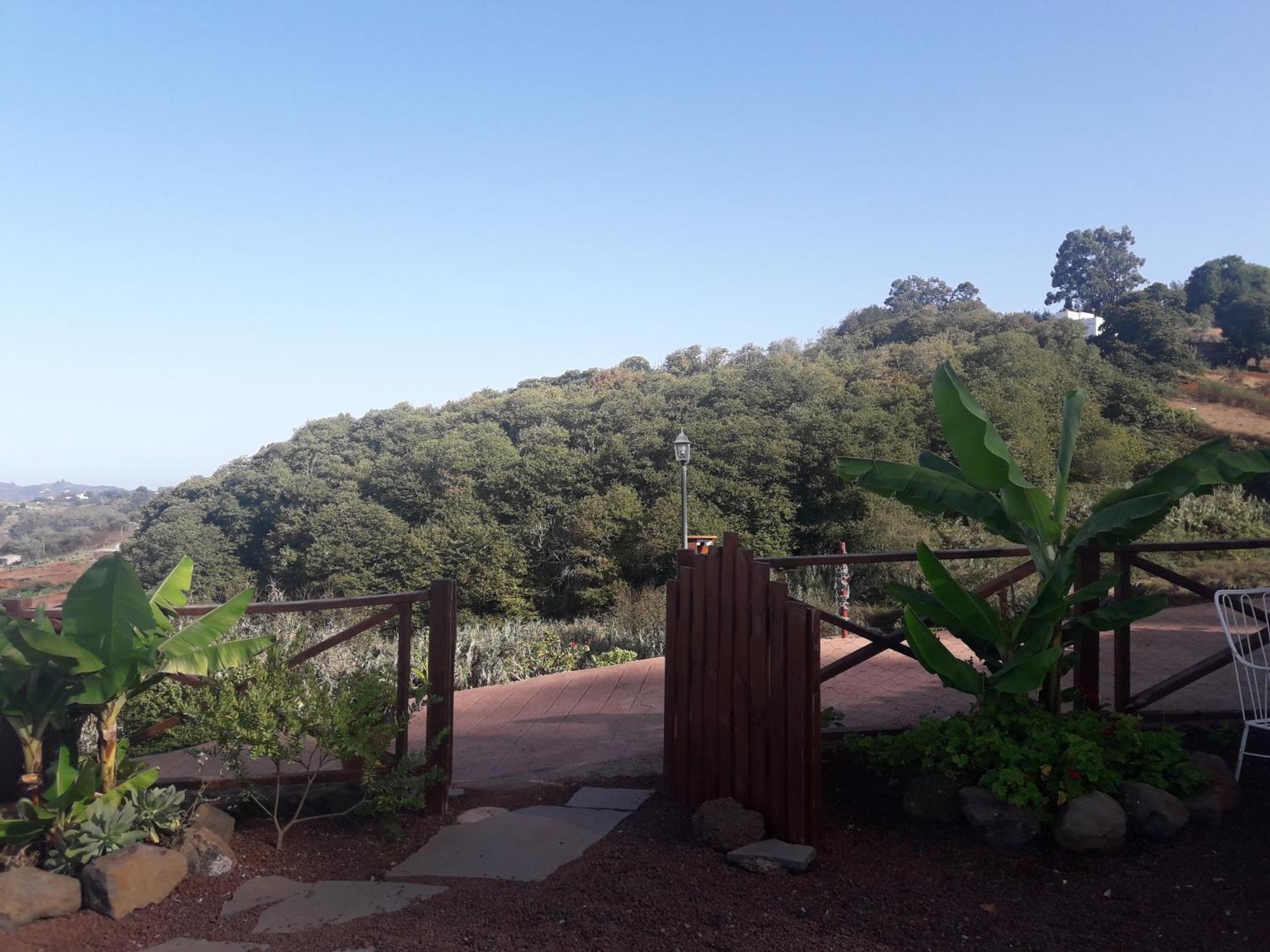 Finca Naturacanaria Moya  Eksteriør bilde