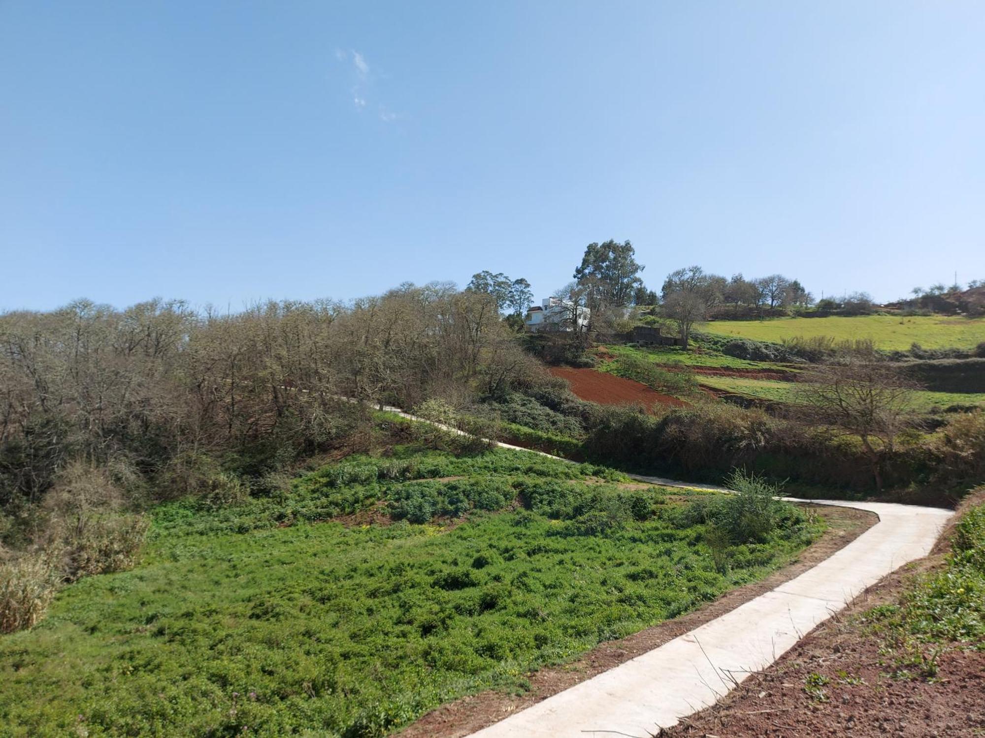 Finca Naturacanaria Moya  Eksteriør bilde