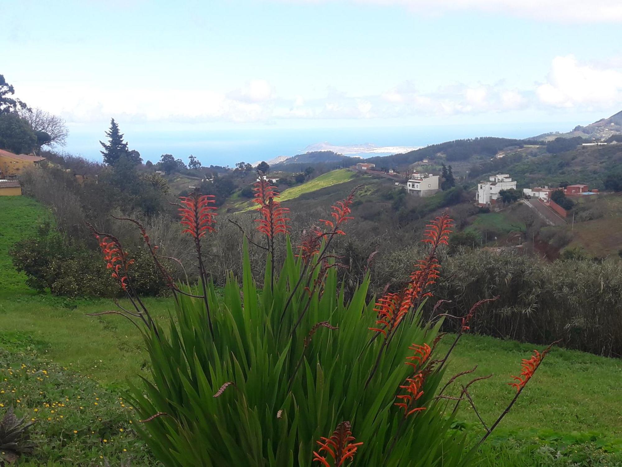 Finca Naturacanaria Moya  Eksteriør bilde