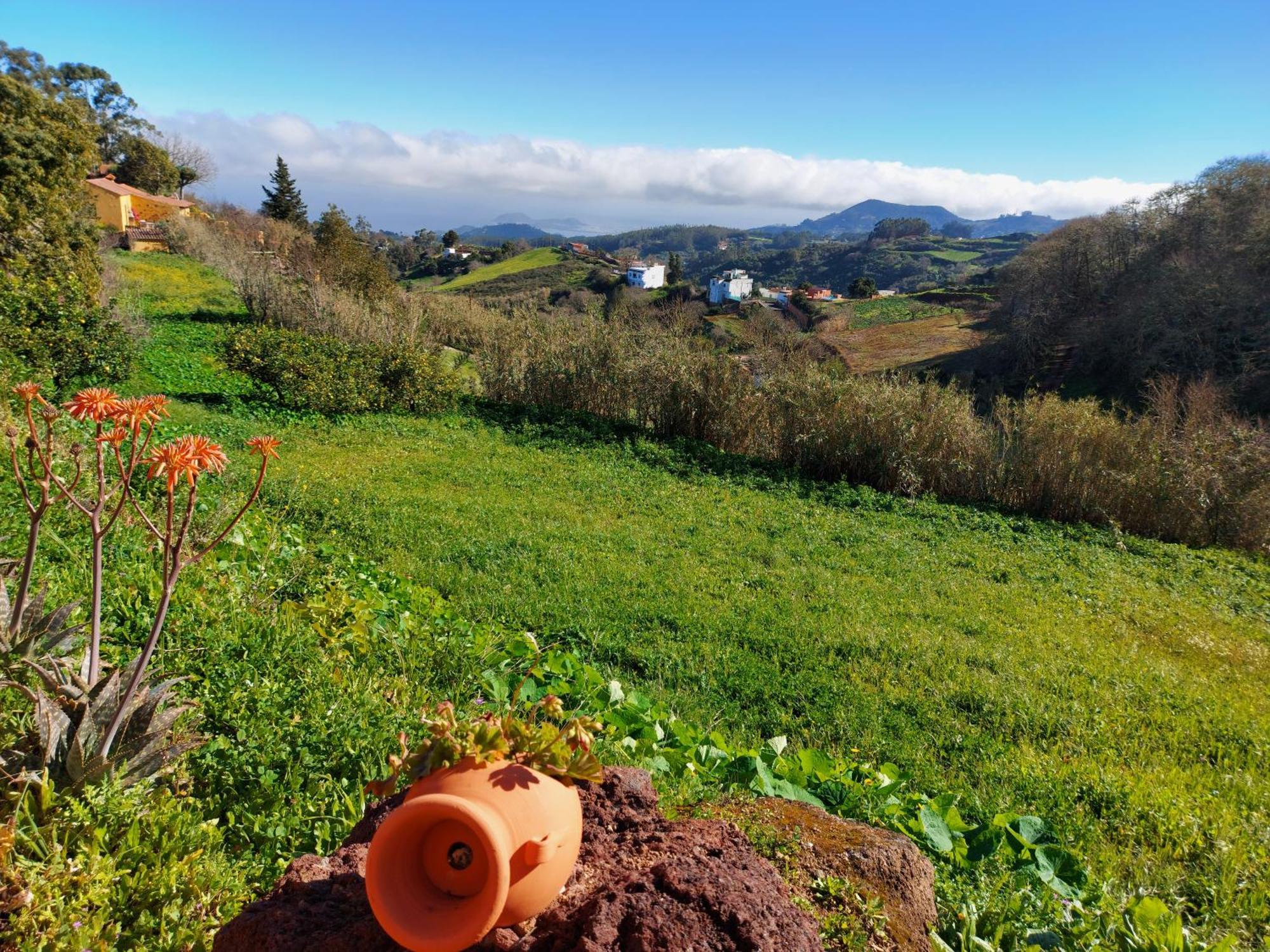 Finca Naturacanaria Moya  Eksteriør bilde