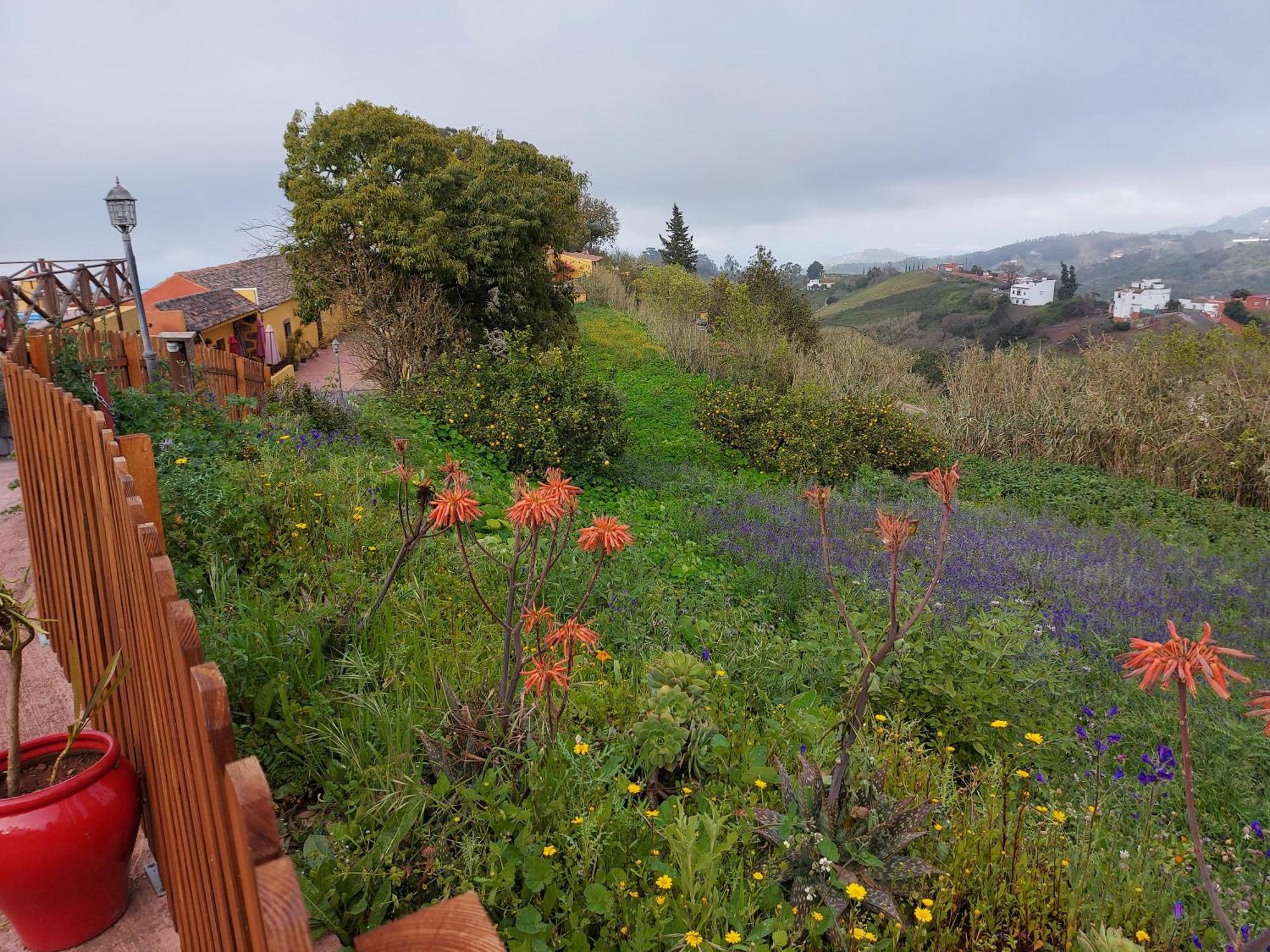 Finca Naturacanaria Moya  Eksteriør bilde