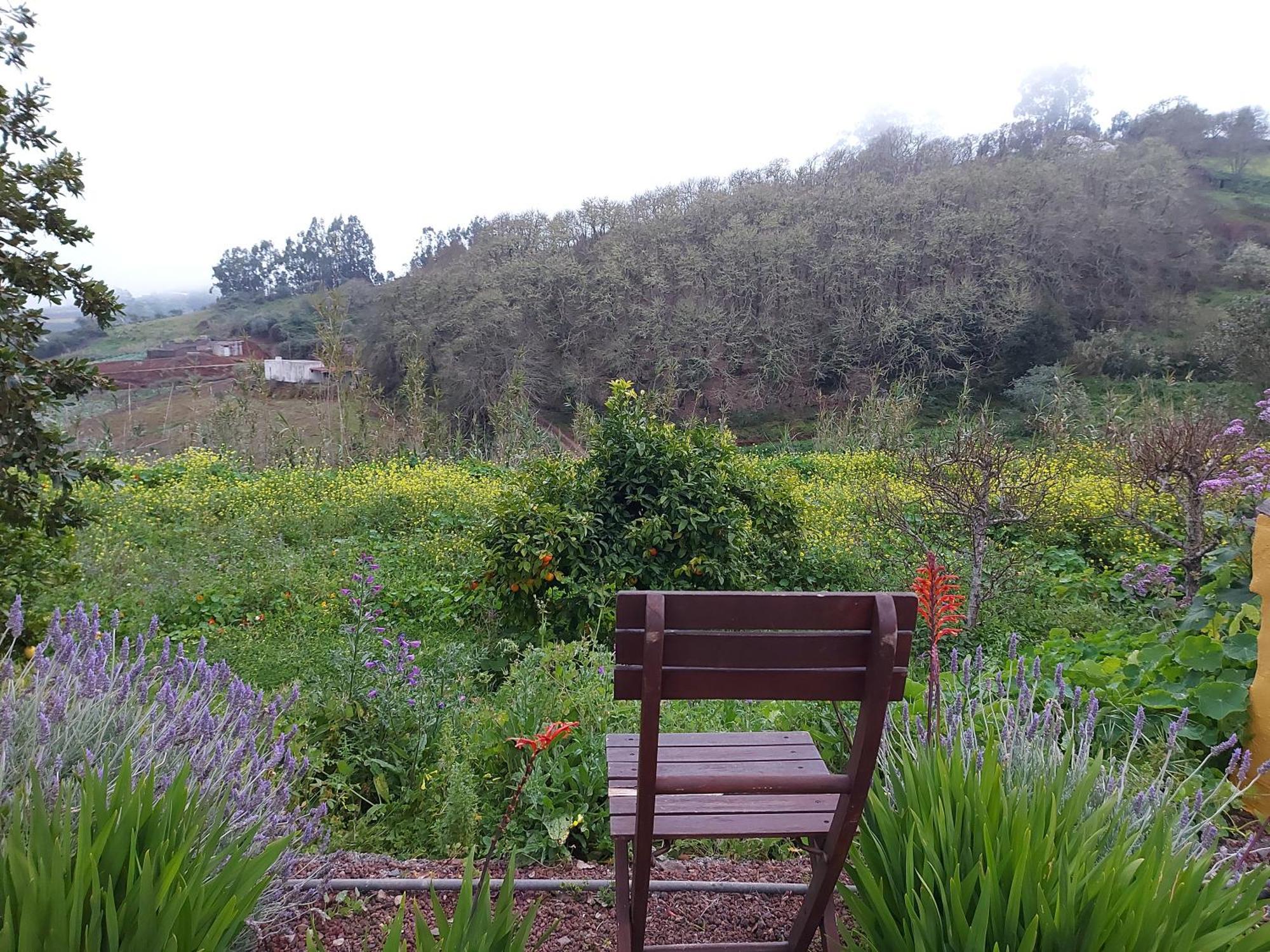 Finca Naturacanaria Moya  Eksteriør bilde