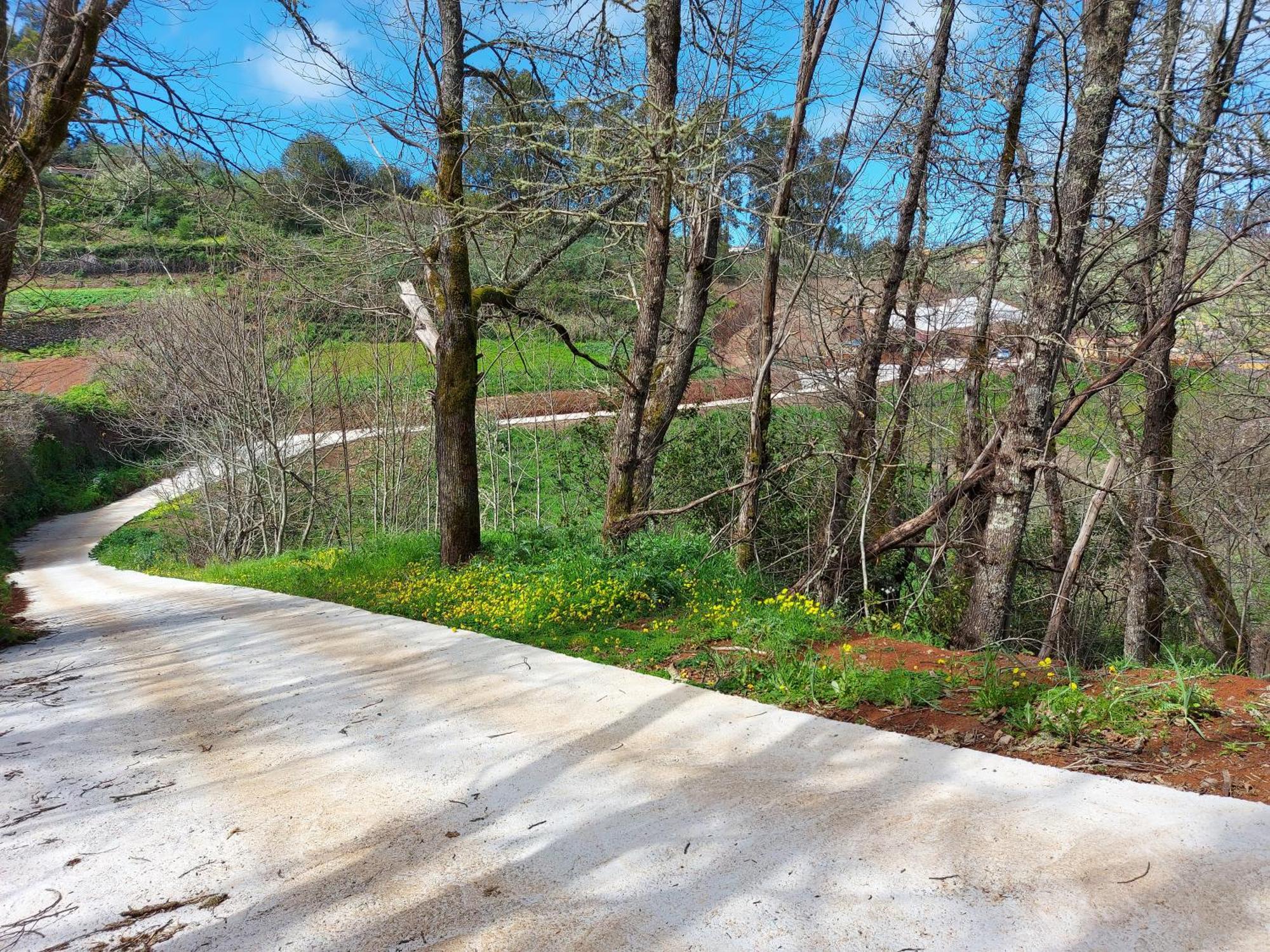 Finca Naturacanaria Moya  Eksteriør bilde
